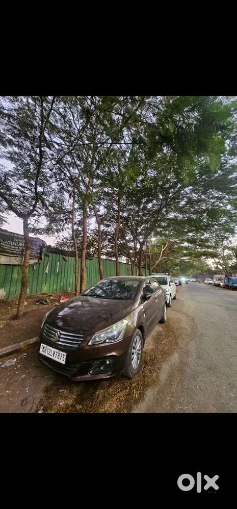 Maruti Suzuki Ciaz 2015 Diesel