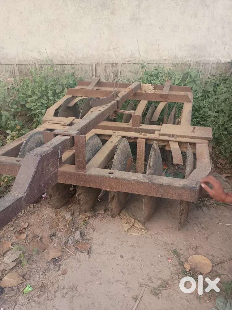 Herron hai 12 ki