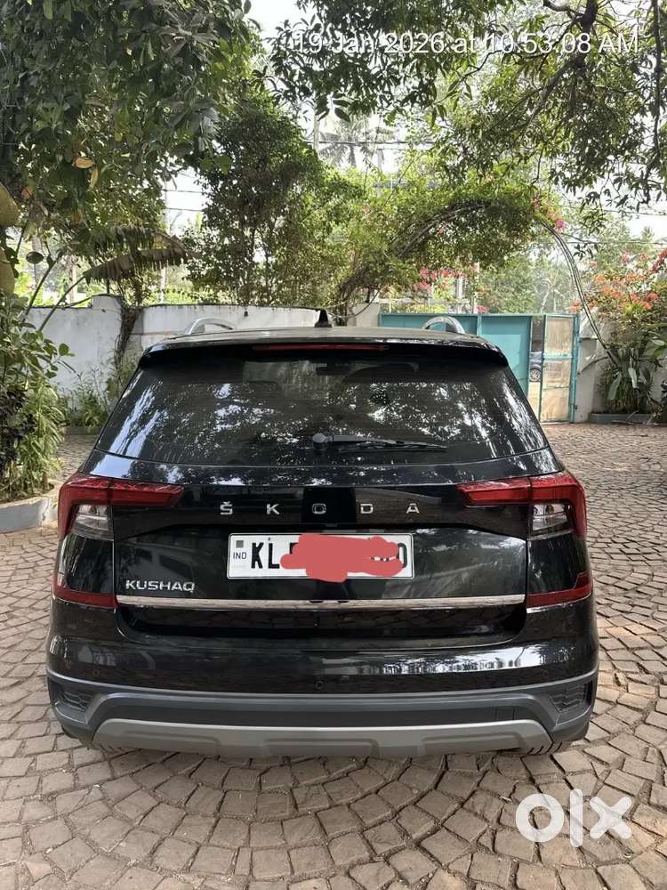Skoda Kushaq 2024 Petrol Well Maintained