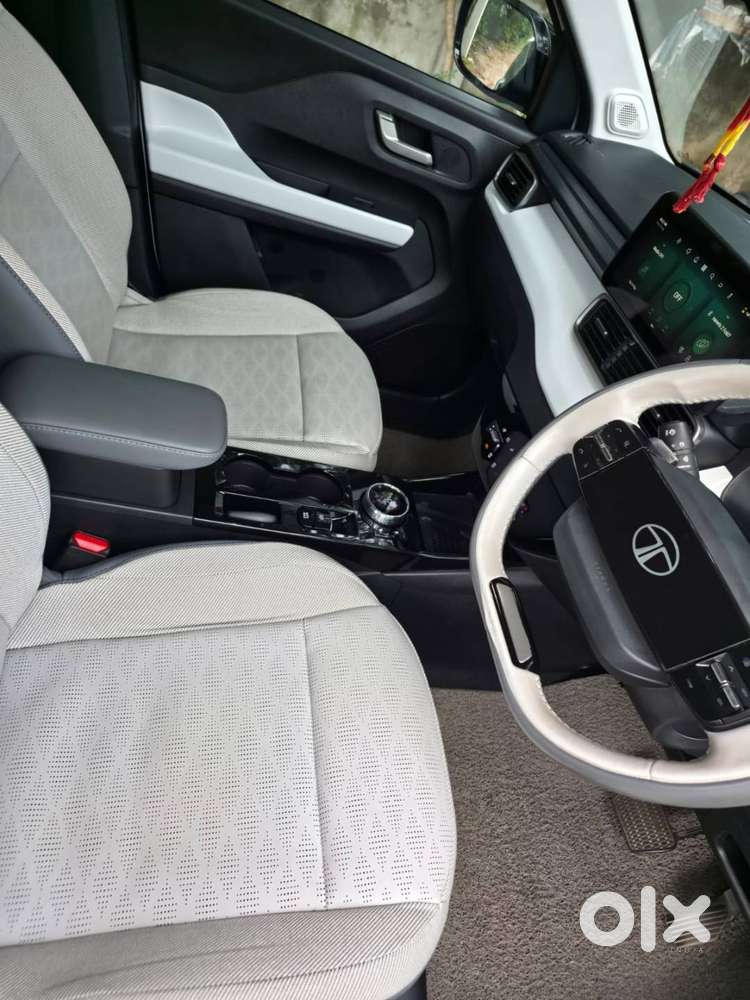 Top End Punch Ev With Sunroof And Fully At Long Range