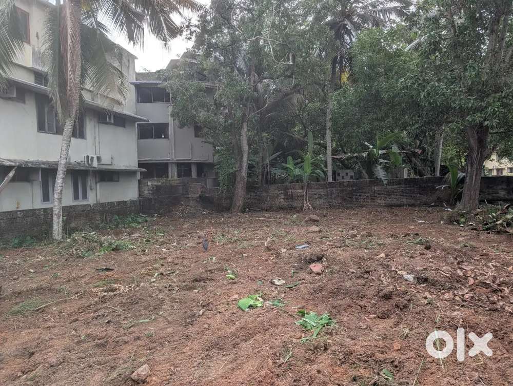 4.37 cents plot for sale at jagathy