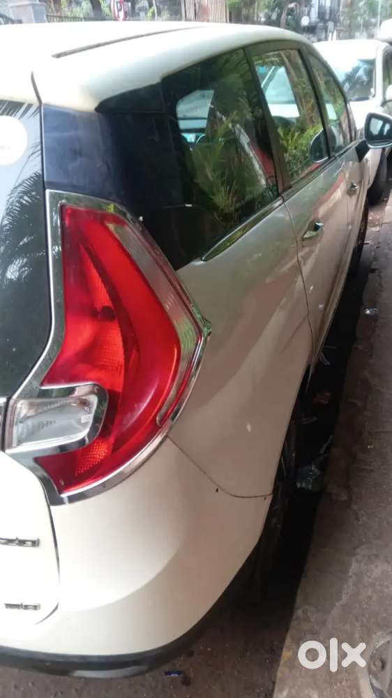 Good Condition And Royal