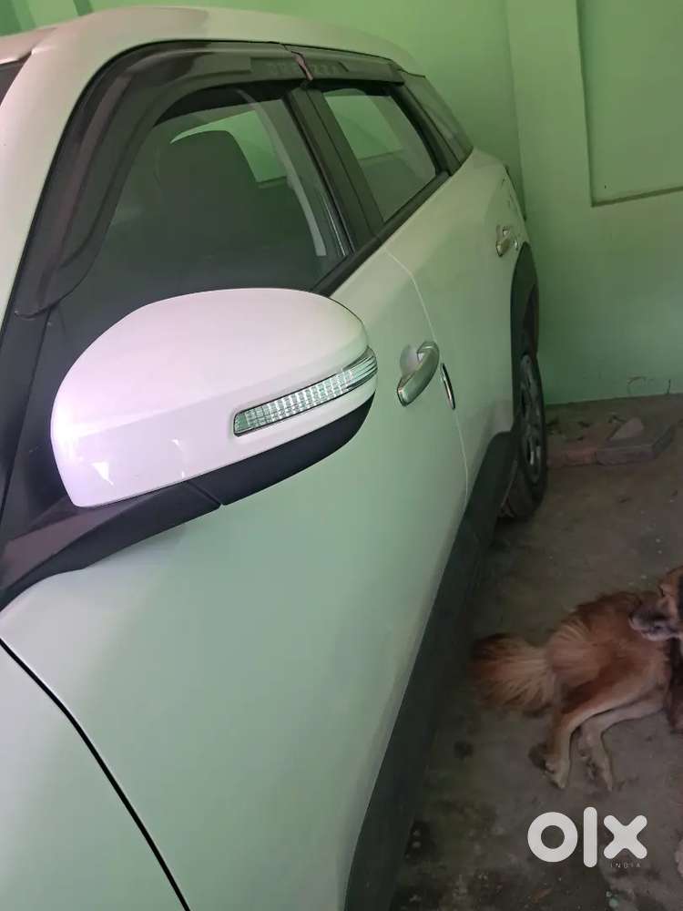 Breeza 31december2025