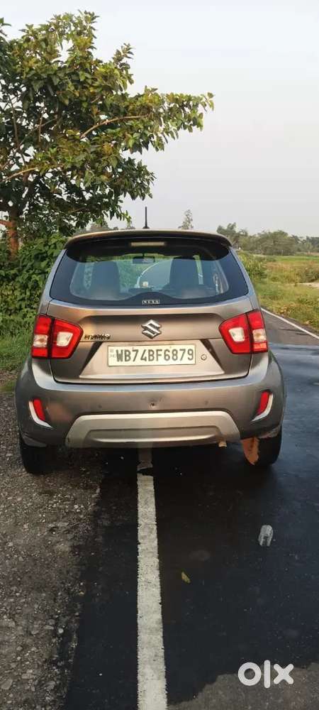 Maruti Suzuki Ignis 2021 Petrol 41200 Km Driven