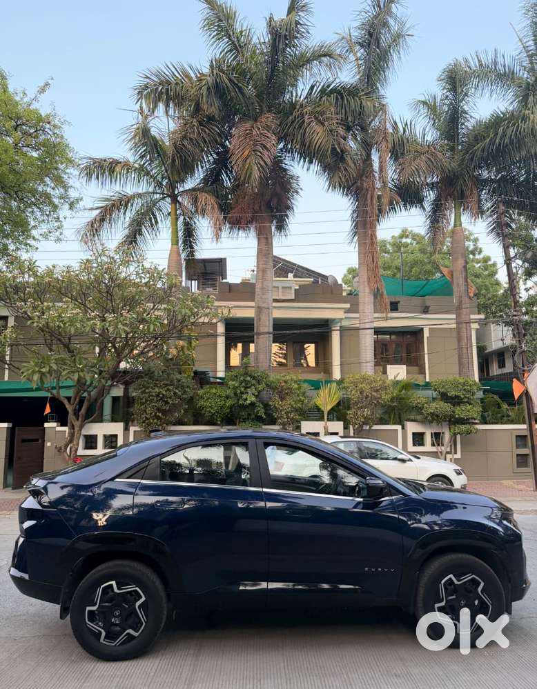 Tata Curvv Pure Plus 1.2 Revotron Petrol 7dca, 2025, Petrol