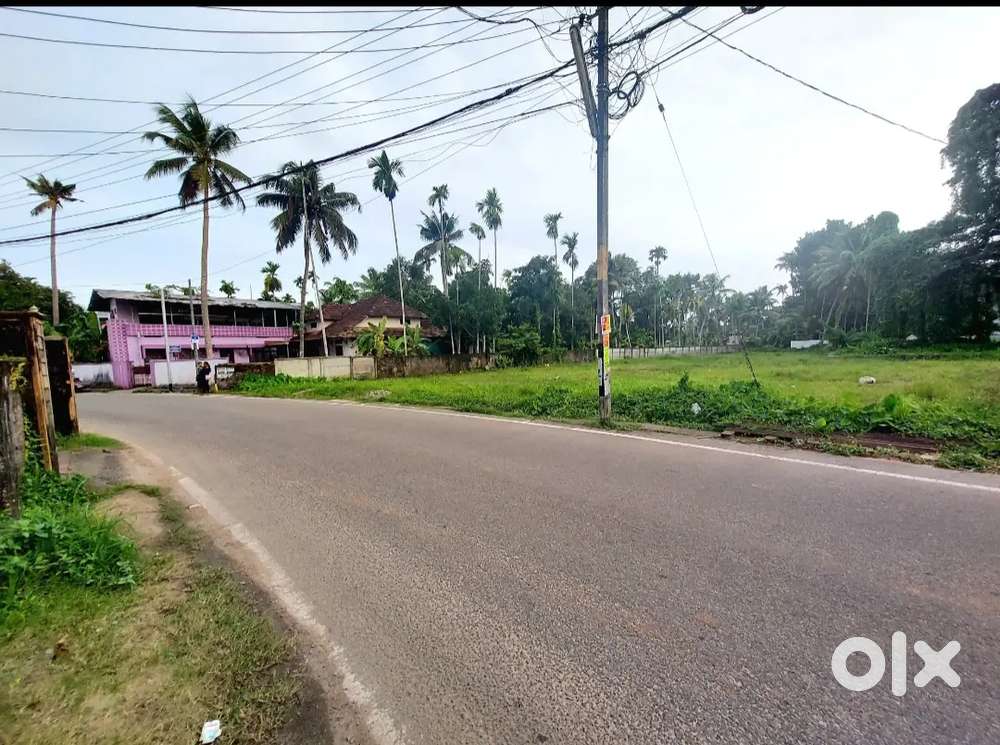 10 cent orginal land for north paravur town municipal area Lands