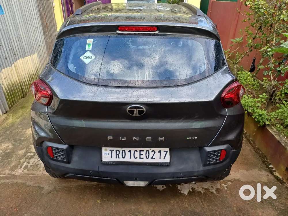 Tata Punch Icng 2024