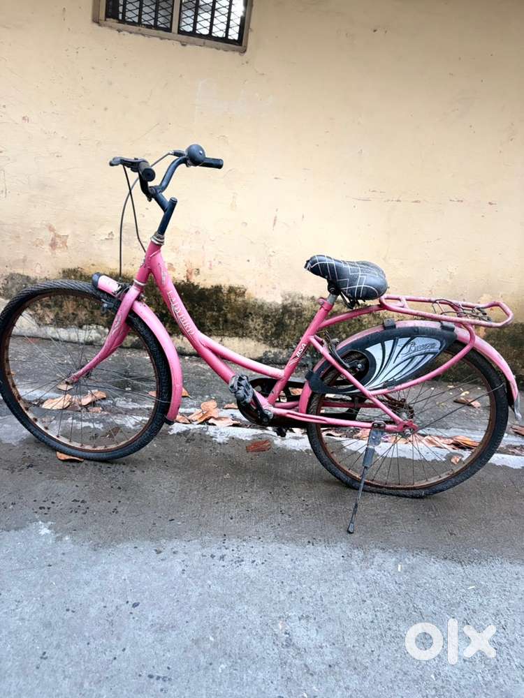 Ladybird pink colour