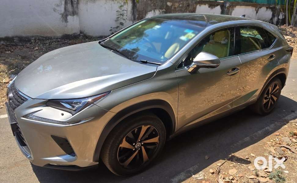 Lexus Nx Lexus-nx-300h-luxury, 2019, Petrol