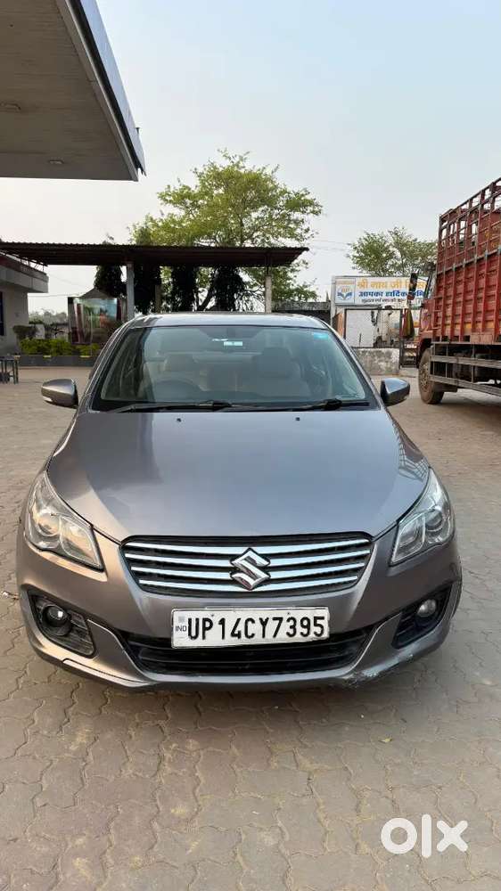 All Original Car Top Model