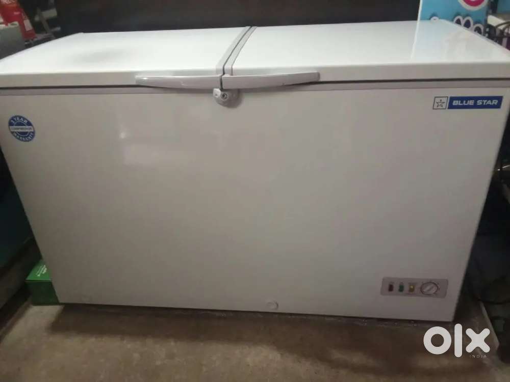 Chest freezer Blue star
