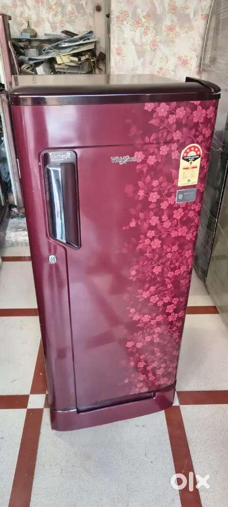 Whirlpool 200 LTR TAPAN GLASS FLOWER PRINT DOR WITH VEGITABLE STAND