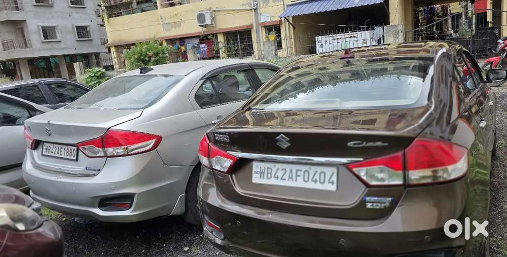 Maruti Suzuki Ciaz Zdi Plus Shbs 2017