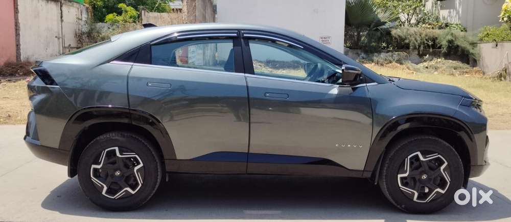 Tata Curvv Pure Plus 1.2 Revotron Petrol 7dca, 2025, Petrol