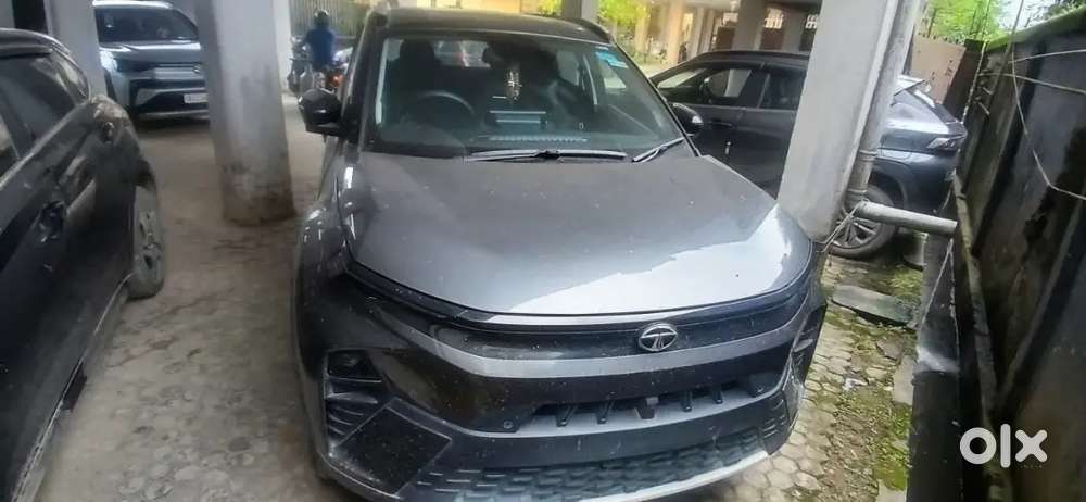 Tata Nexon Petrol 17th Nov 2023