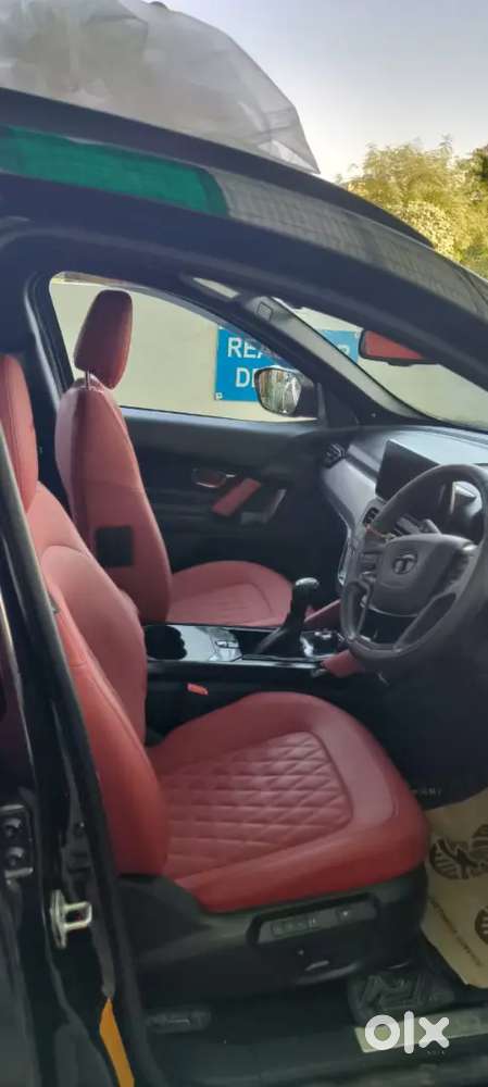 Tata Safari 2023 Diesel Well Maintained Automatic