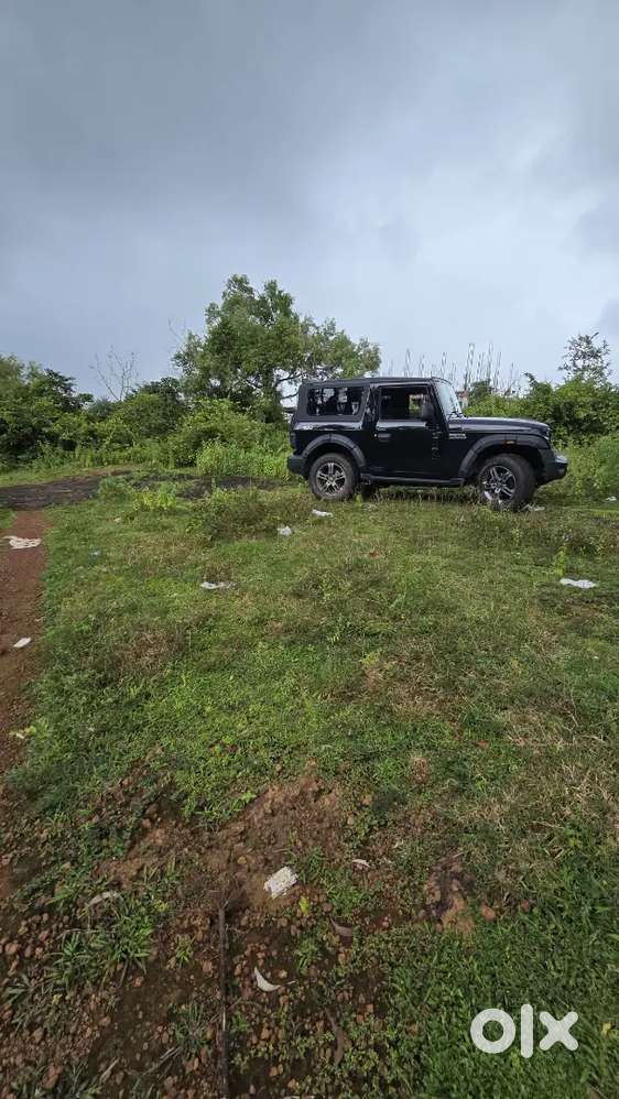 Thar Rwd Diesel Accessories Loaded