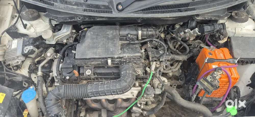2024 Maruti Swift Zxi Cng Manual 39700 Km Driven