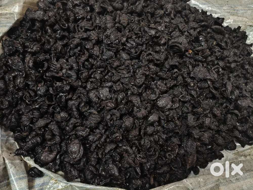 കോട്ടയം മീനടം ശുദ്ധമായ കുടംപുളി വില്പനയ്ക്ക് 1kg300