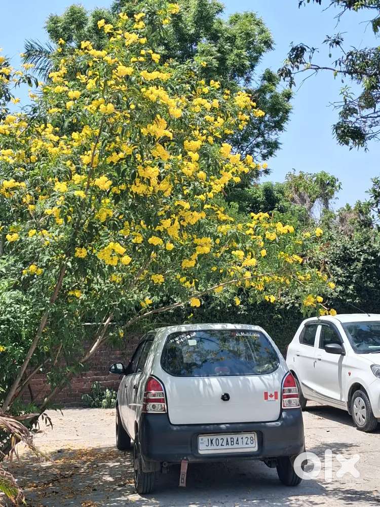 Maruti Suzuki Alto 2006 Life 2031 Ending