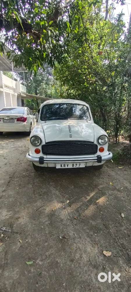 Ambassador Ambassador 1978