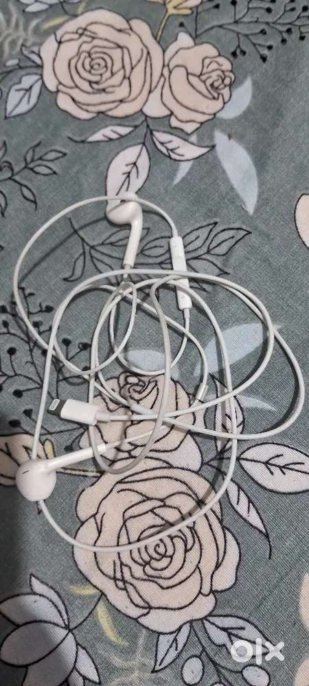 Apple earphones original new condition