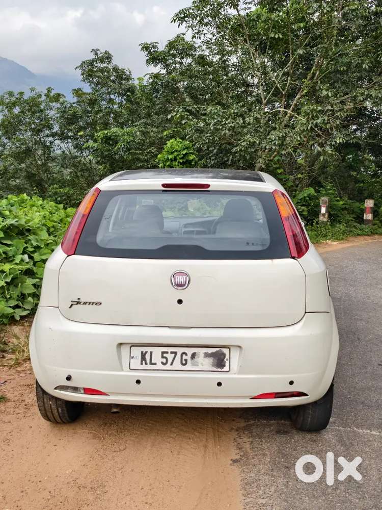 Fiat Punto Active 2013