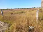 One Kotha Ten Lusa Miyadi Patta Land