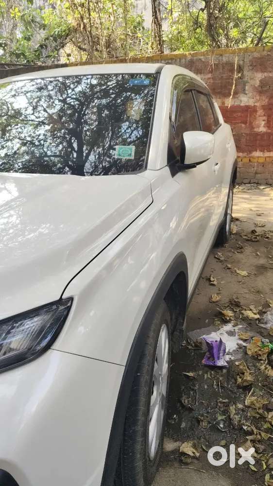 Maruti Suzuki Grand Vitara 2025 Petrol 7900 Km Driven
