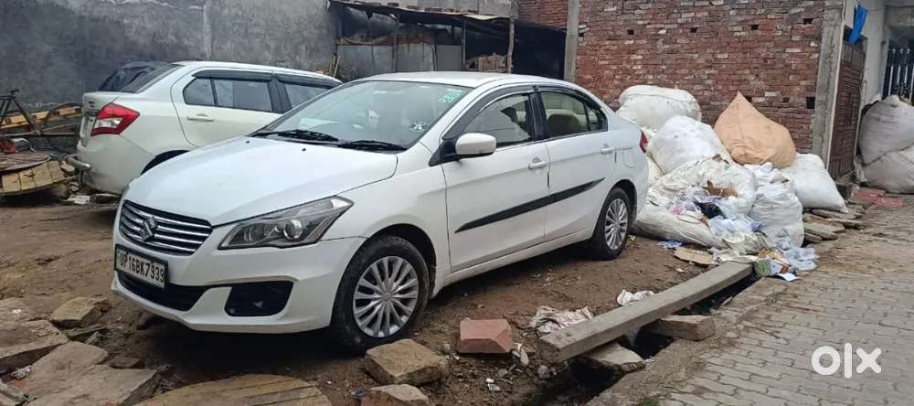 Maruti Suzuki Ciaz 2017 Diesel Second Owner