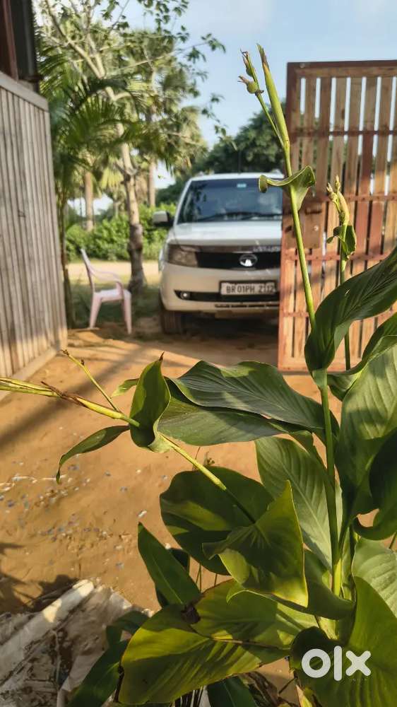 Tata Safari Storme 2016 With Mileage Excellence