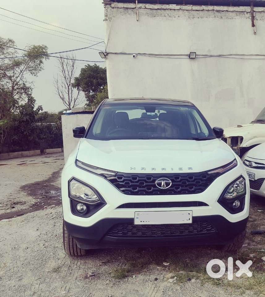 Harrier Xt  (dt )