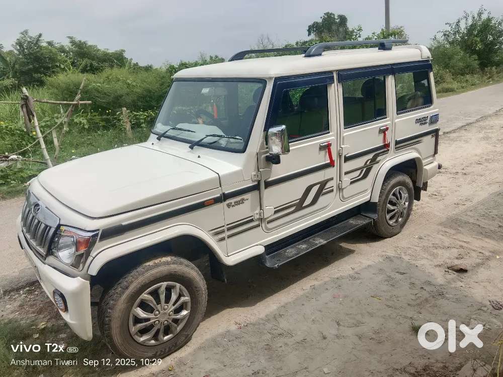 Bolero For Sale