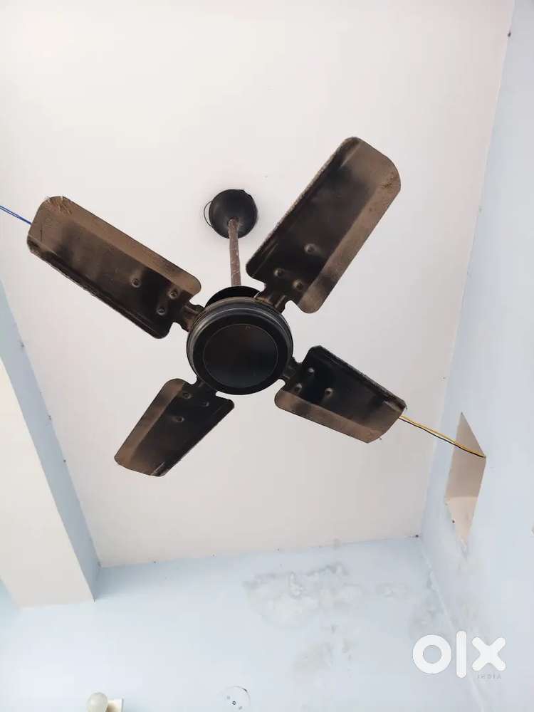 Stardom Small 800 mm fan 500rs 1year old