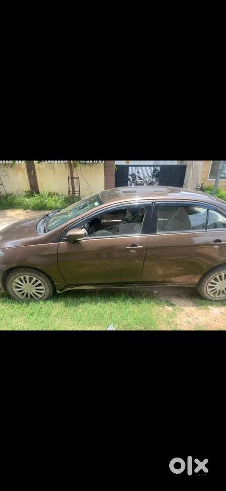Maruti Suzuki Car 2017