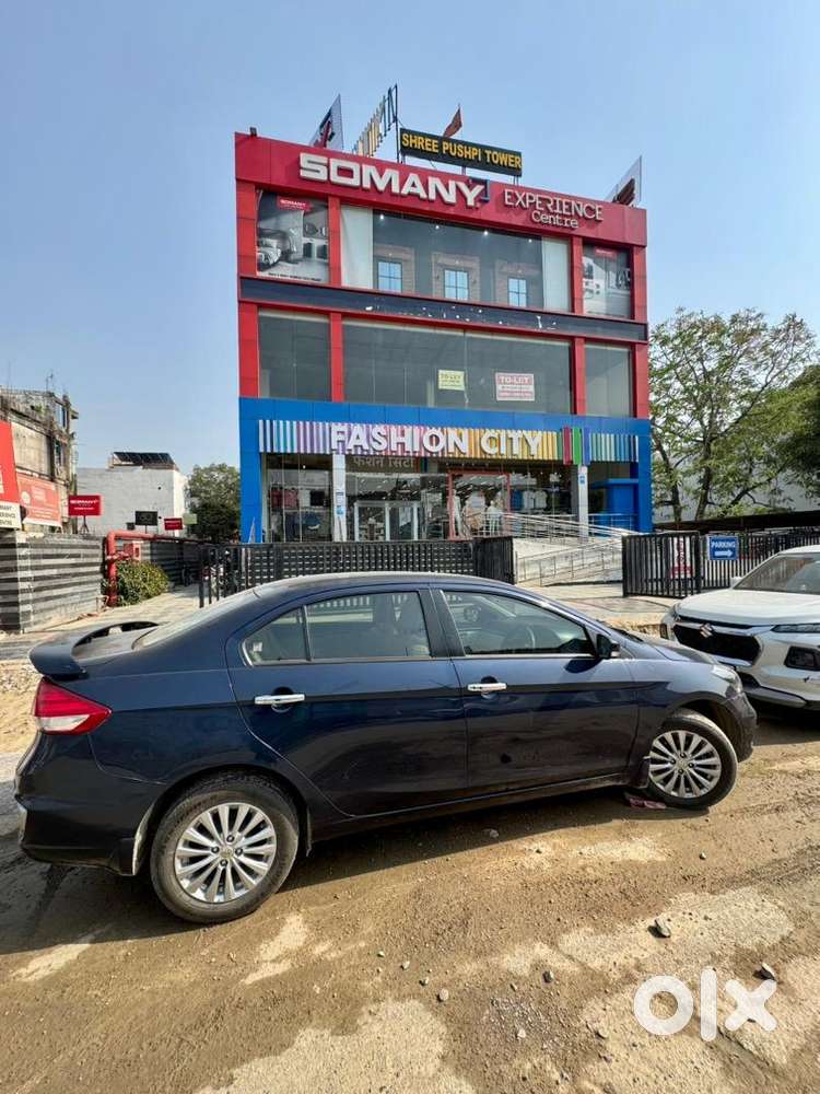 Maruti Suzuki 2024 Petrol Manual