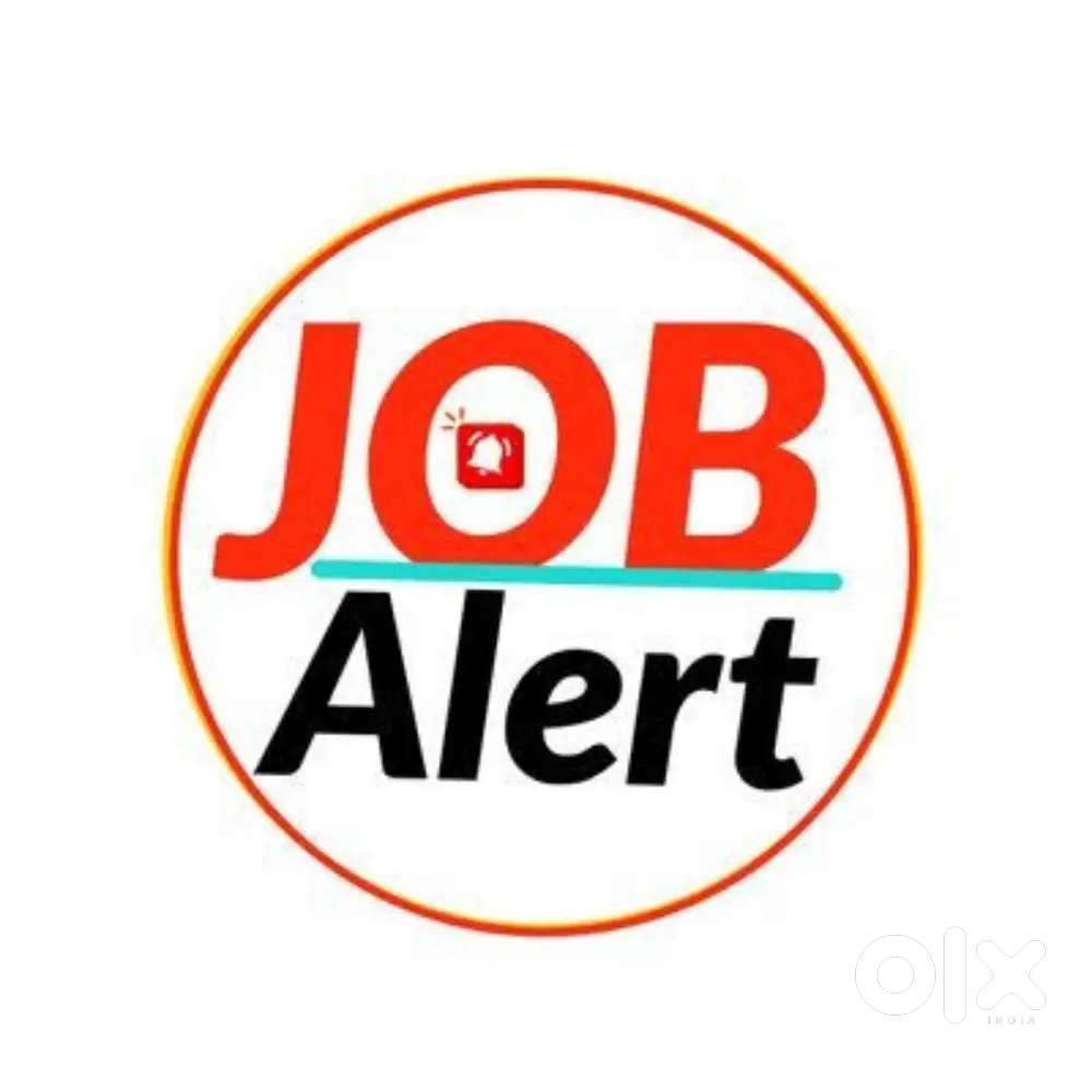 Home tutor required(lady preferred)