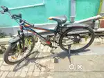 4 months old brand new cycle