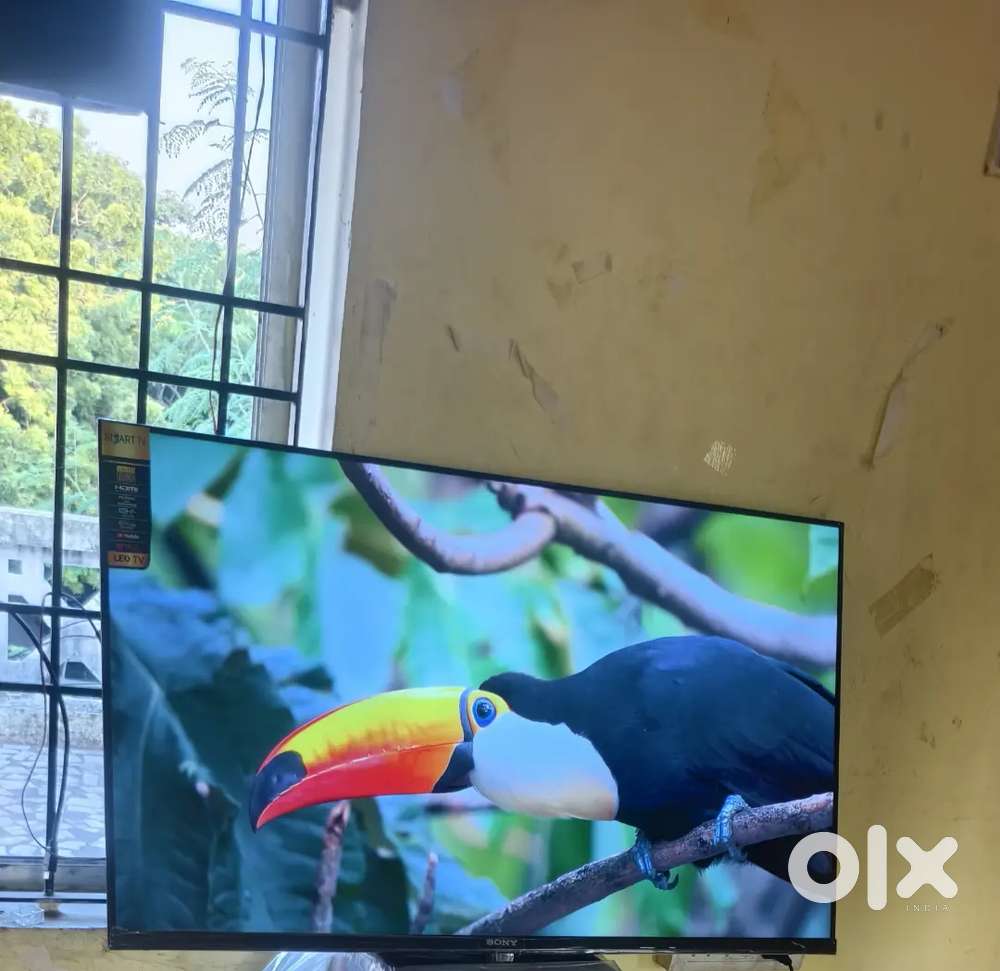 24 inch sony normal full hd led tv price 4999