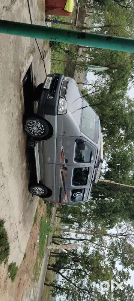 Very Good Condition Arjent Shell