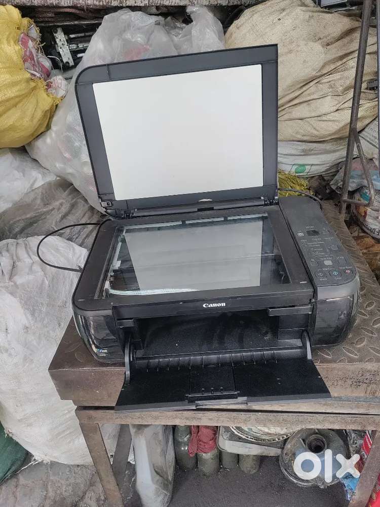 Pirintar sap kandisan hai
