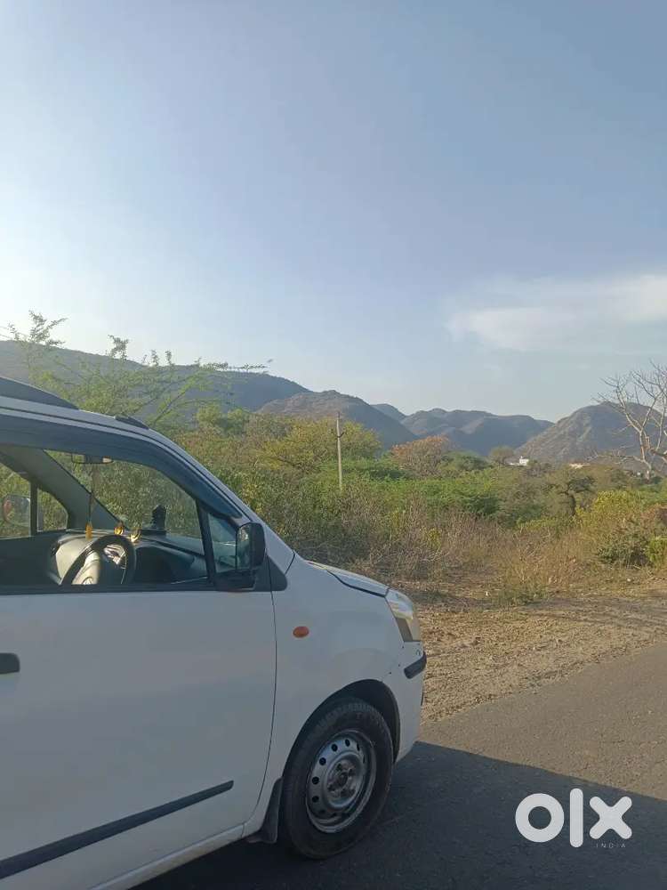 Maruti Suzuki Wagon R 2010 Petrol