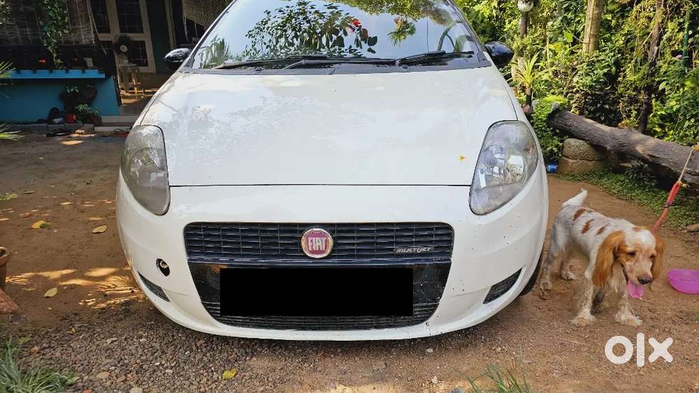 Well-maintained Fiat Punto 1.3 Multijet Diesel - Fresh Fc Completed