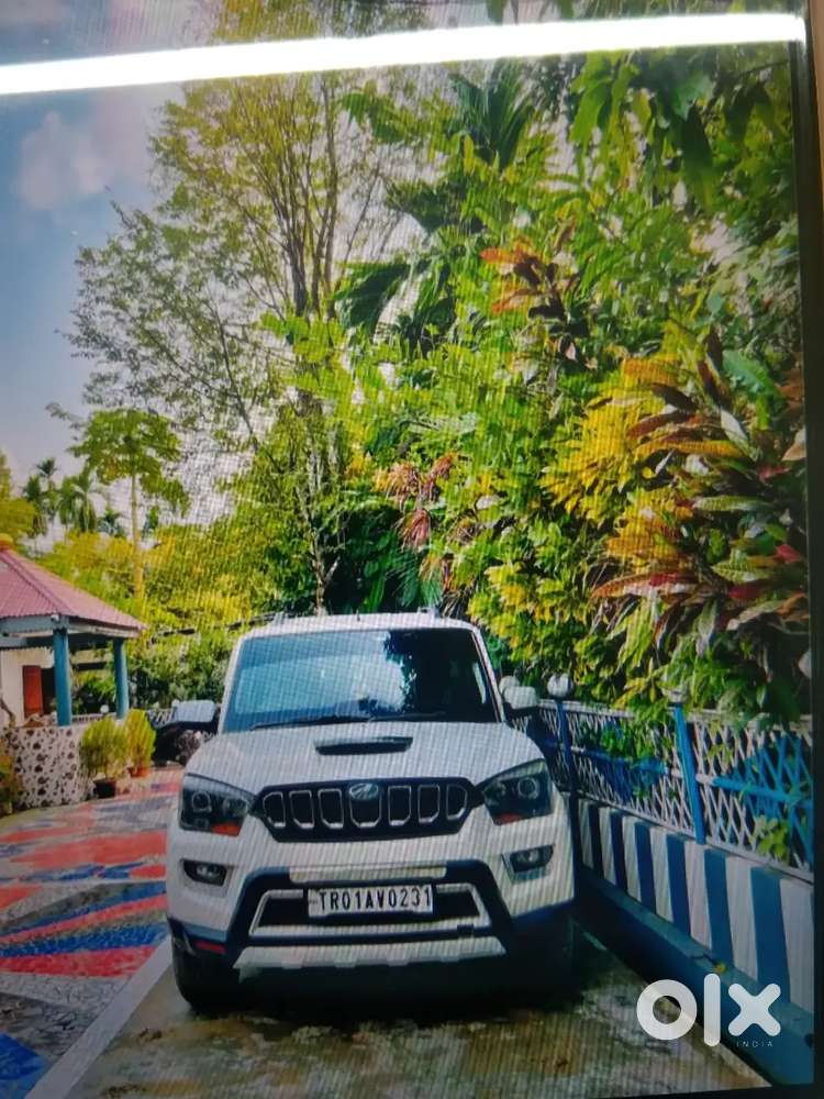 Mahindra Scorpio S10 White Colour Good Condition Well Maintained Car