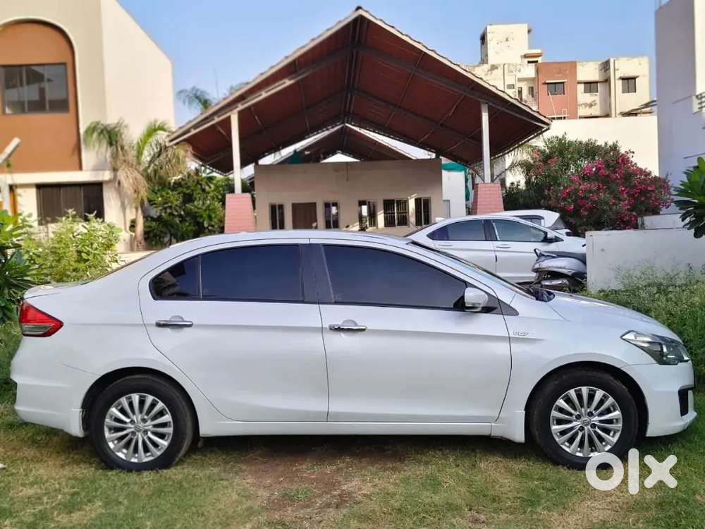 Maruti Ciaz Zdi Shvs Next To Showroom Condition
