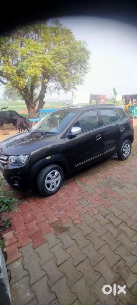 Renault Kwid 2019 Petrol Good Condition