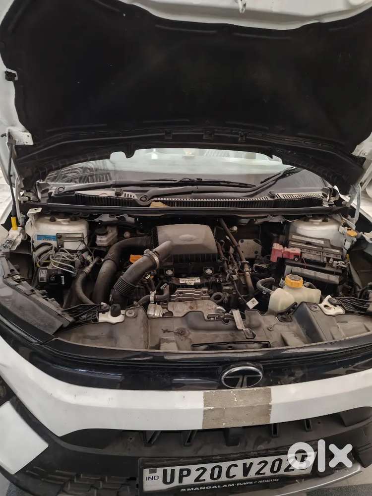 Tata Nexon 2025 Petrol Well Maintained