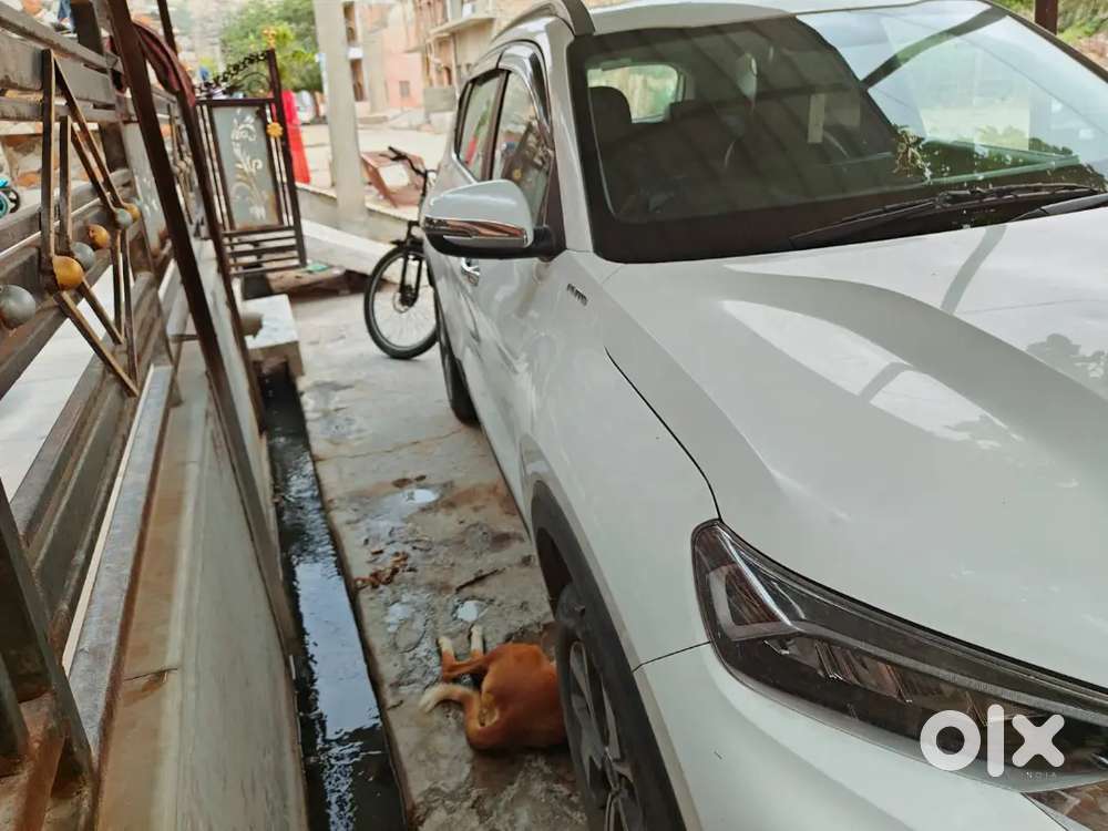 Kia Sonet 2022 Diesel Automatic Sunroof