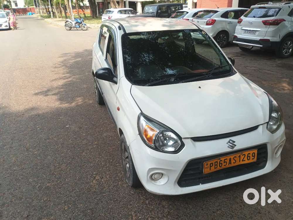 Alto 800 Company Cng