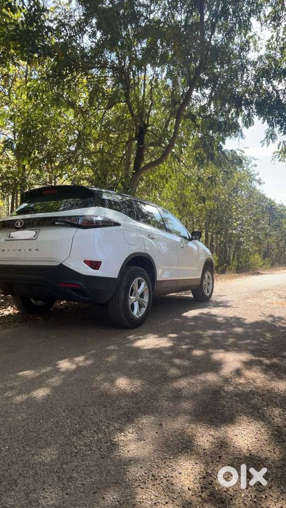 Harrier Xt  (dt )